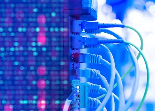 Technician organizing network cables in a rack cabinet.